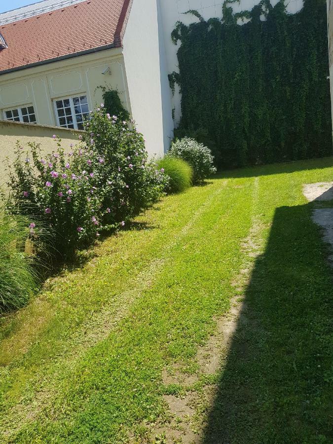 Holdfeny Apartman شيوفوك المظهر الخارجي الصورة